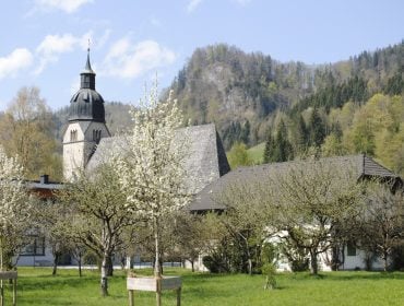 Die Kirche von Scheffau mit blühenden Obstbäumen
