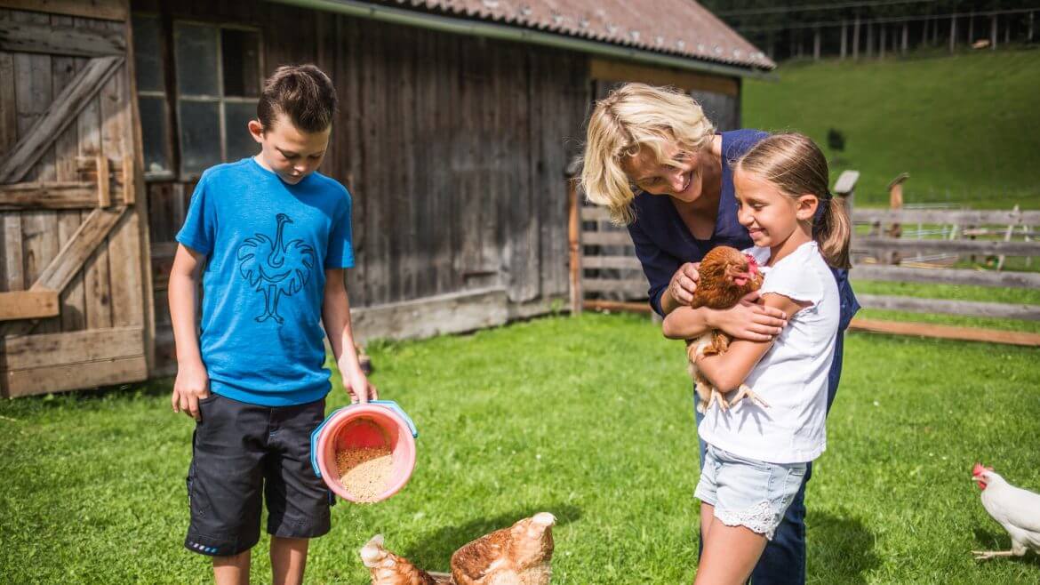 Kinder füttern Hühner am Hof