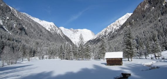 eine verschneite Landschaft in Lessach im Lungau mit einer Holzhütte, verschneiten Bäumen und Bergen im Hintergrund