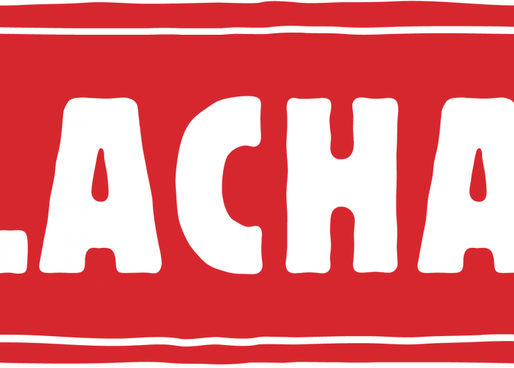 Flachau Logo