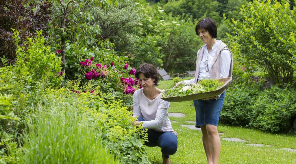 Zwei Frauen sammeln Kräuter im Garten