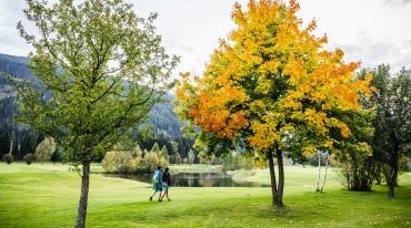 Pärchen spaziert durch herbstlichen Park, Laubbaum mit gelben Blättern